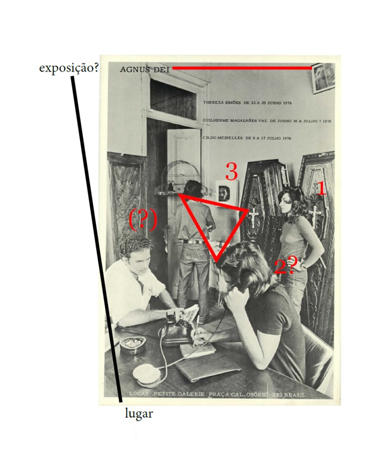 Bolsa IAC de Formação em Pesquisa: Cordeiro, bode e percurso em 3&nbsp;escoras